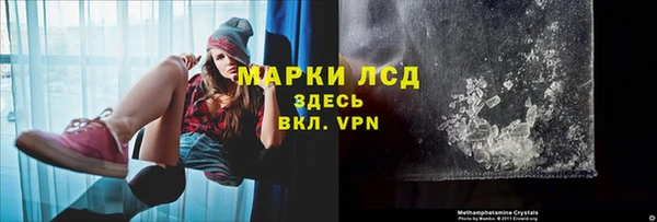 индика Волосово