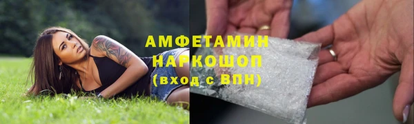 шишки Верея