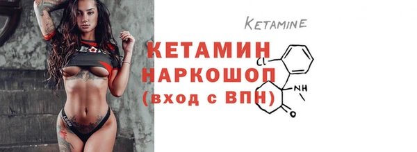 шишки Верея