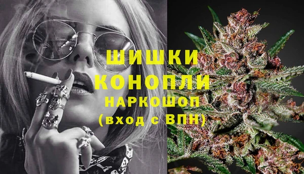 индика Волосово