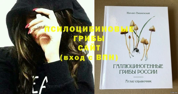 спиды Волоколамск