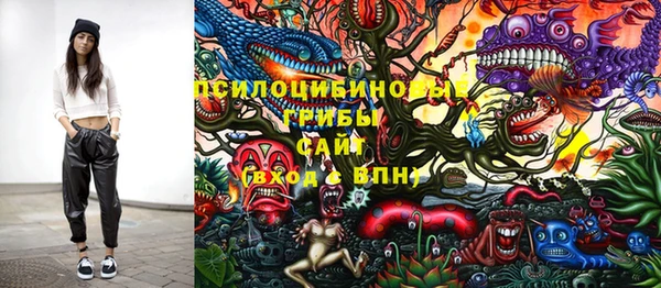 спиды Волоколамск