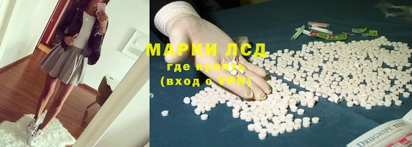индика Волосово