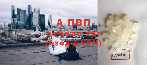 спиды Волоколамск
