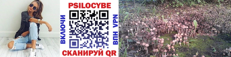 где продают наркотики  Долинск  Галлюциногенные грибы мухоморы 